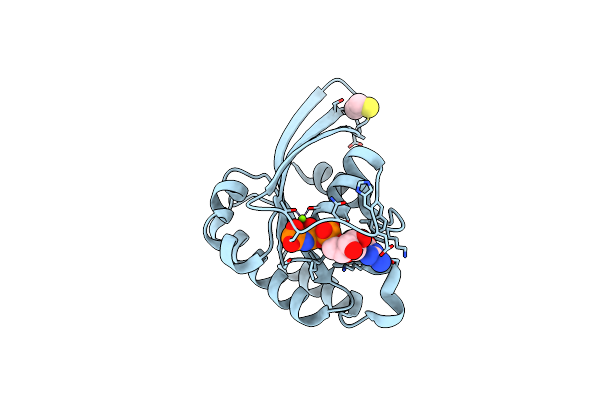 1N6R image