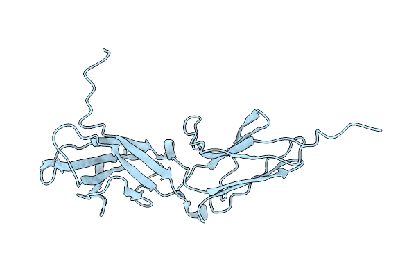 1N6V image