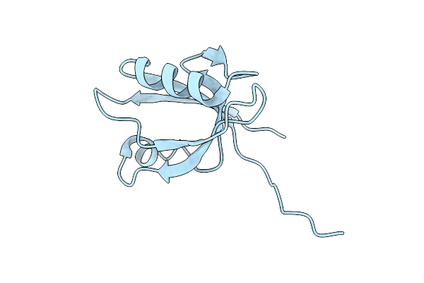 1N7E image
