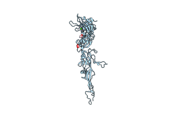 1N7V image