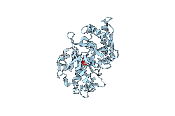 1N7X image