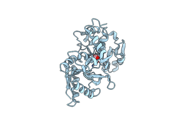1N84 image