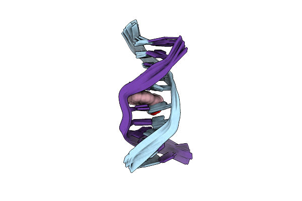 1N8C image