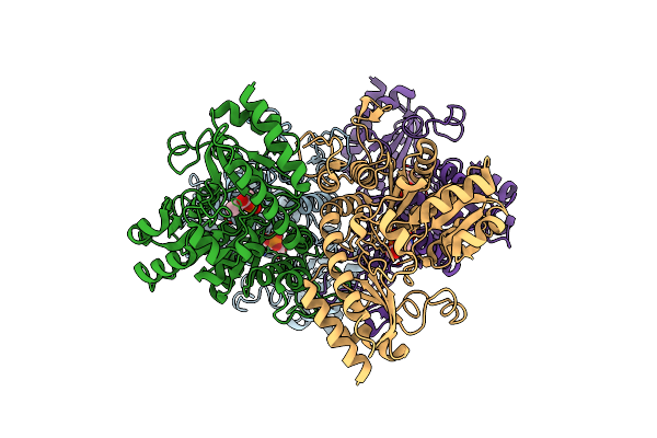 1N8P image