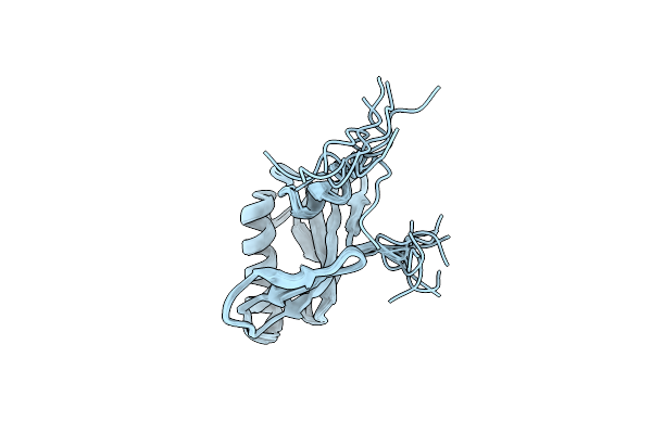 1N91 image