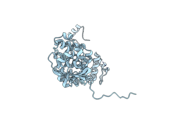 1N93 image