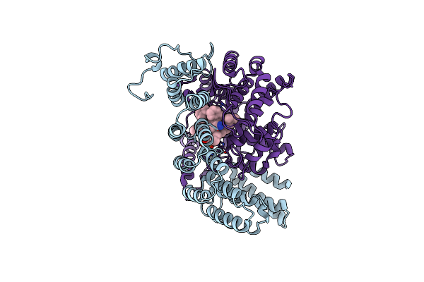 1N95 image