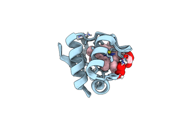 1N9C image
