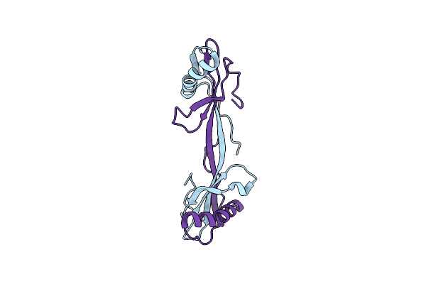 1N9J image