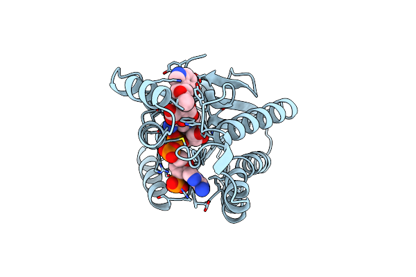 1NAS image