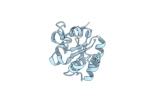 1NB2 image