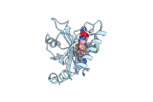 1NB9 image