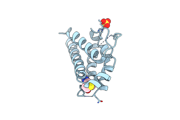 1NBP image