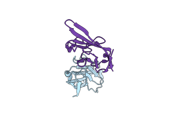 1NCN image