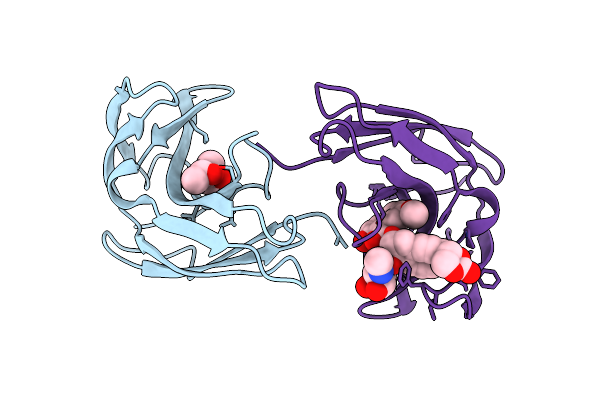 1NCO image