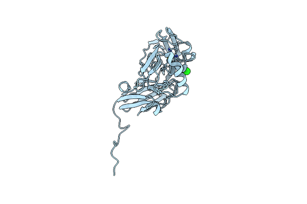 1NDT image
