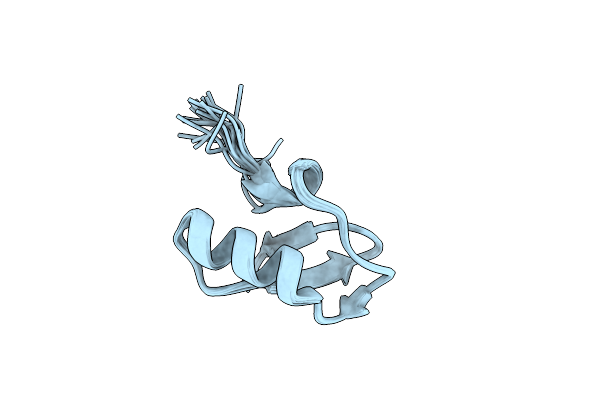 1NE5 image