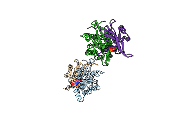 1NF3 image