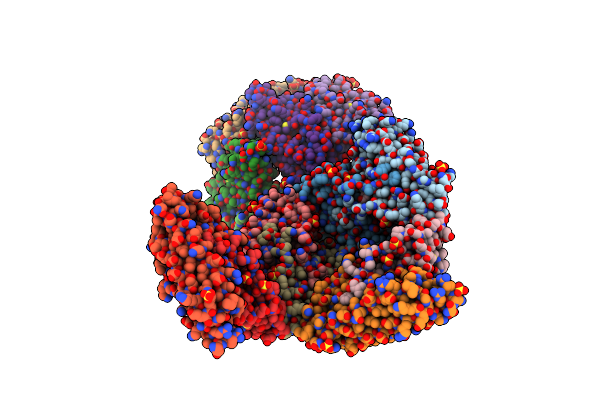 1NF4 image