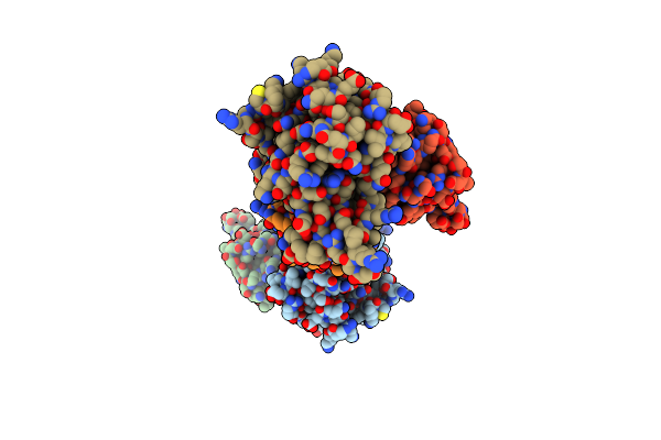 1NFI image