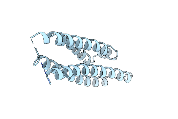 1NFO image