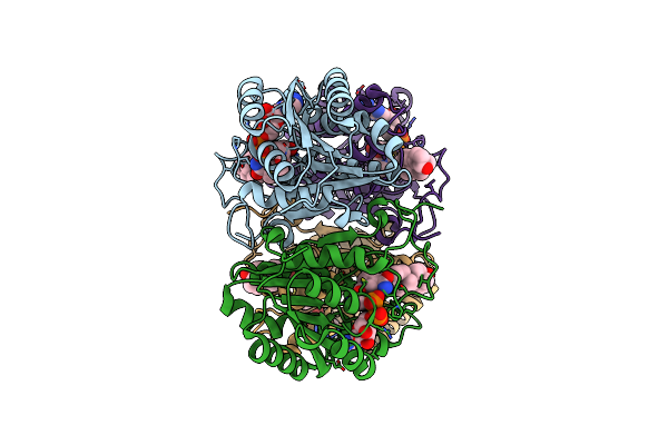 1NFQ image