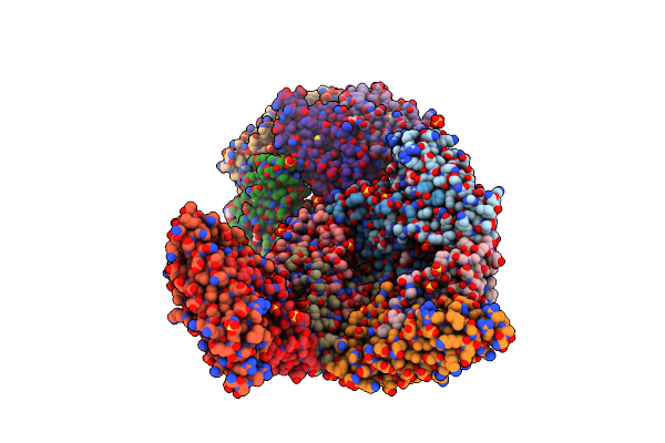 1NFV image