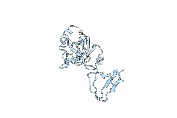 1NG2 image
