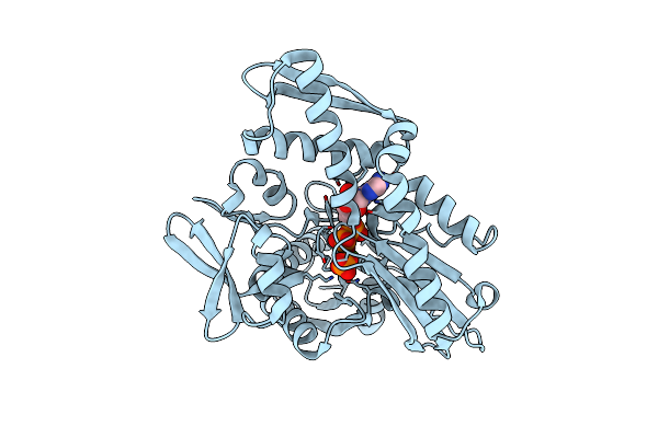 1NGB image
