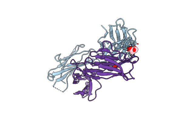 1NGP image