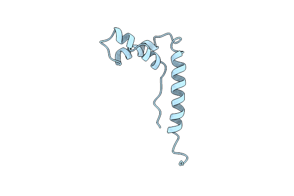 1NHM image
