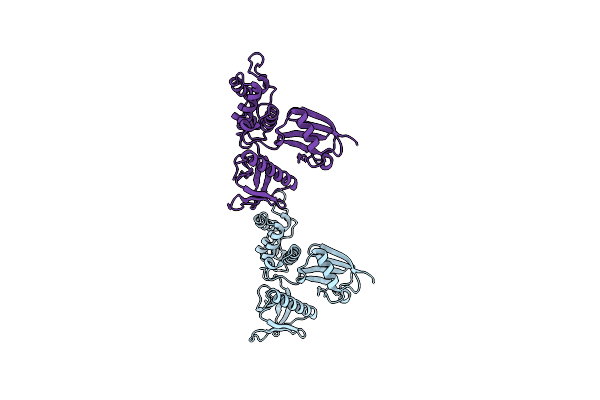 1NI2 image