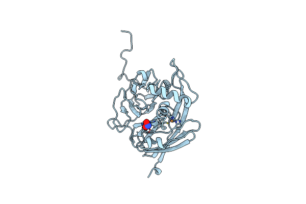 1NID image