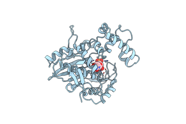 1NJB image