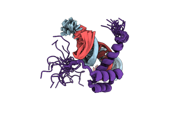 1NK2 image