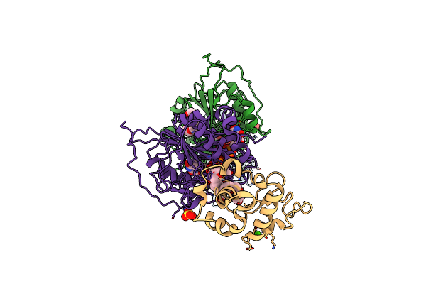1NKH image