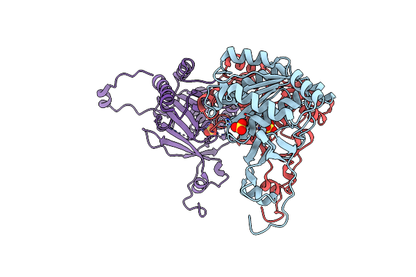 1NLF image