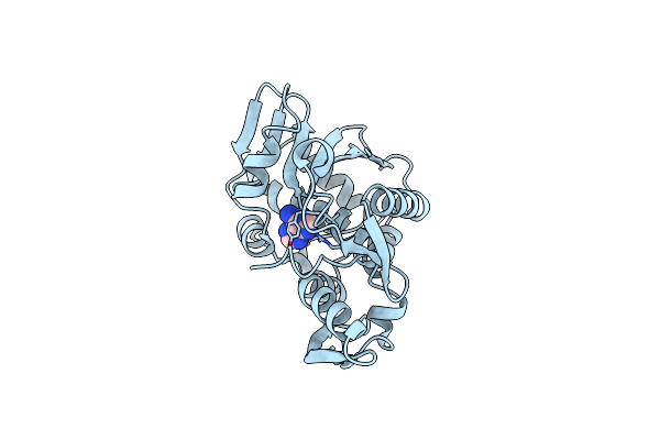 1NLI image