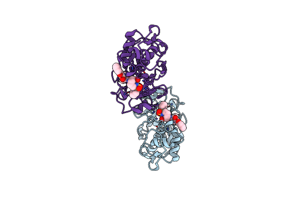 1NLJ image