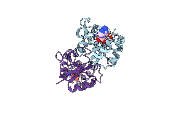 1NLK image
