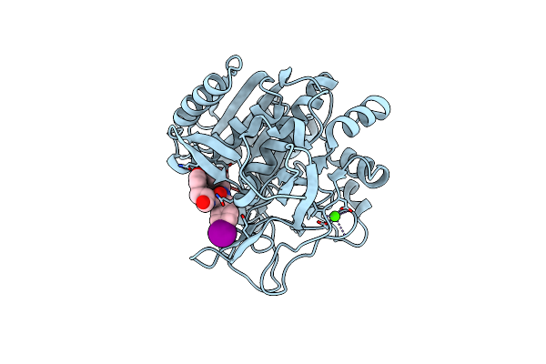 1NLU image