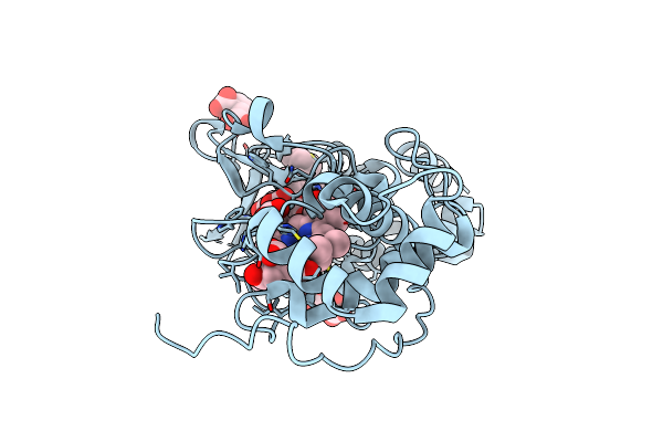 1NML image