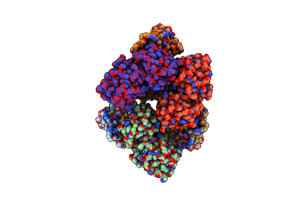 1NMO image