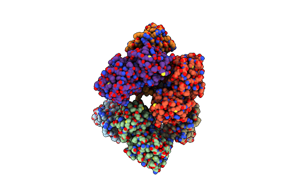 1NMP image