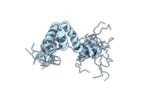 1NMR image