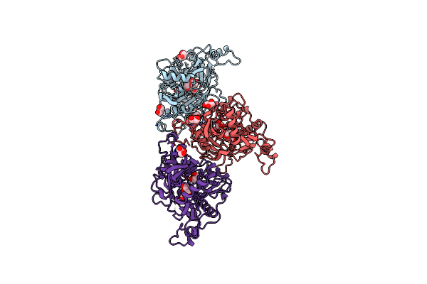 1NMT image