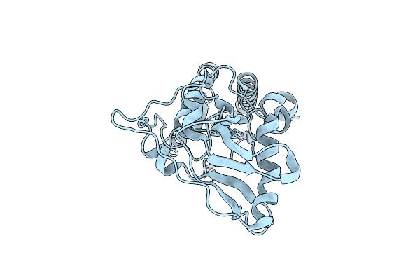 1NND image