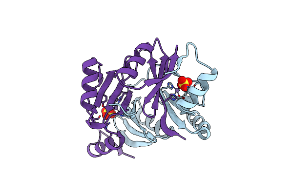 1NNR image