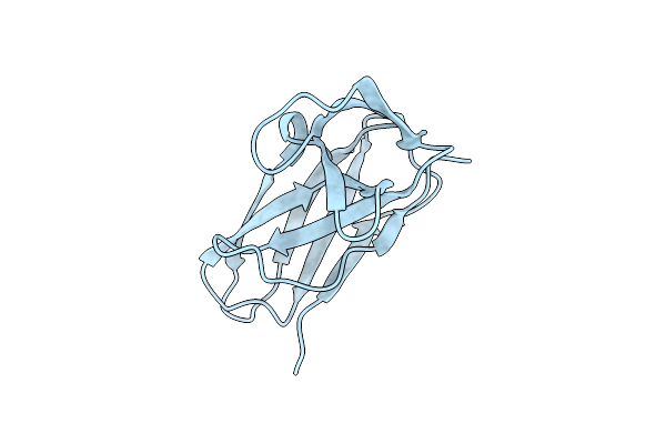 1NOA image