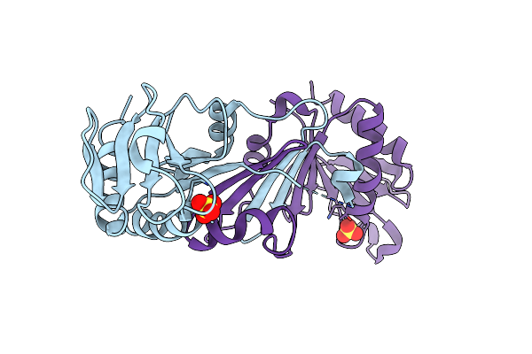 1NP6 image
